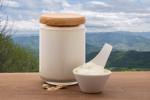 Bulgarian yogurt technology