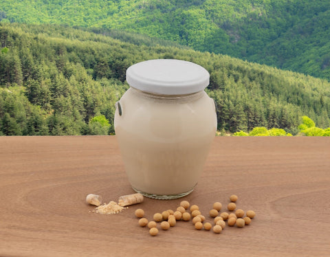 Probiotic soy yoghurt technology